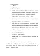Plieno klasifikavimas bei žymėjimas 3 puslapis