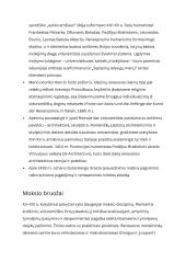 Renesanso epochos istorija 6 puslapis