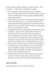 Renesanso epochos istorija 7 puslapis