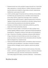 Renesanso epochos istorija 8 puslapis