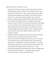 Renesanso epochos istorija 9 puslapis