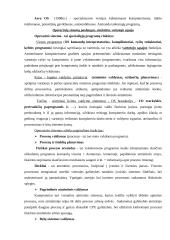 Programinės įrangos apžvalga ir jos tobulinimo tendencijos 7 puslapis