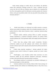 Kredito linijos privalumas, trūkumai, reikalavimai, pavyzdžiai 9 puslapis