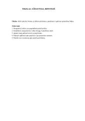 Tiriamasis darbas. Patyčios 3 puslapis