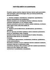 Tiriamasis darbas. Patyčios 5 puslapis