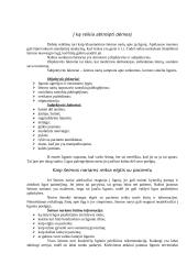 Psichikos ligonis ir šeima 2 puslapis