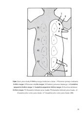 Kačių pieno liaukos ir ginekologinės ligos 19 puslapis