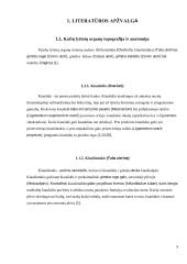 Kačių pieno liaukos ir ginekologinės ligos 8 puslapis