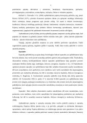 Uždarosios akcinės bendrovės „x“ pajamų ir sąnaudų apskaita 4 puslapis