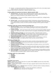 Psichologijos įvado kursas 2 puslapis