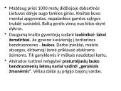 Valstybės priešaušriu 2 puslapis