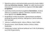 Valstybės priešaušriu 3 puslapis
