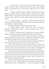 Socialinių paslaugų kokybė vyresnio amžiaus žmonėms 20 puslapis