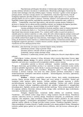 Psichologijos pagrindai ir esmė 14 puslapis