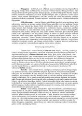 Psichologijos pagrindai ir esmė 15 puslapis