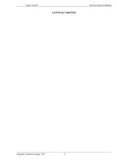 Socialinio darbuotojo vaidmuo taikant krizių intervenciją socialinę riziką patiriančiose šeimose 2 puslapis