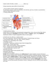 9 klasės kontrolinis darbas. ,,Kraujas ir kraujotaka” 2 puslapis