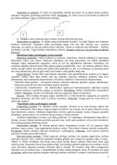 Raidos psichologijos teorija egzaminui 2 puslapis