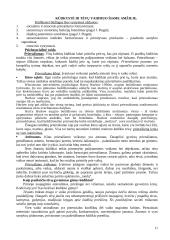 Raidos psichologijos teorija egzaminui 11 puslapis