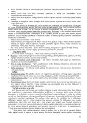 Raidos psichologijos teorija egzaminui 15 puslapis