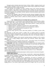 Raidos psichologijos teorija egzaminui 9 puslapis