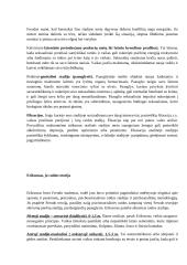 Raidos teorijos 2 puslapis