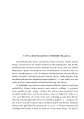 Raštas ir knyga Senovės Rytų valstybėse bei Kinijoje 12 puslapis