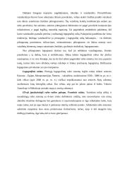 Raštas ir knyga Senovės Rytų valstybėse bei Kinijoje 3 puslapis