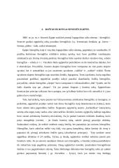 Raštas ir knyga Senovės Rytų valstybėse bei Kinijoje 4 puslapis