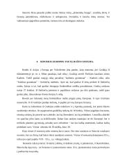 Raštas ir knyga Senovės Rytų valstybėse bei Kinijoje 8 puslapis