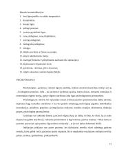 Reabilitacija, jos principai, priemonės 12 puslapis