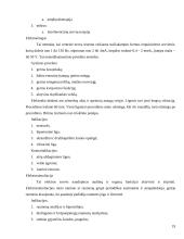 Reabilitacija, jos principai, priemonės 19 puslapis