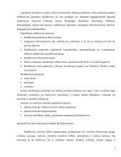 Reabilitacija, jos principai, priemonės 3 puslapis