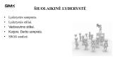 Šiuolaikinė lyderystė: nuo lyderystės sampratos iki karjeros galimybių realizavimo 2 puslapis