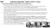 Šiuolaikinė lyderystė: nuo lyderystės sampratos iki karjeros galimybių realizavimo 13 puslapis