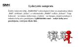 Šiuolaikinė lyderystė: nuo lyderystės sampratos iki karjeros galimybių realizavimo 3 puslapis