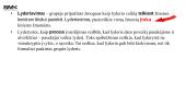 Šiuolaikinė lyderystė: nuo lyderystės sampratos iki karjeros galimybių realizavimo 9 puslapis