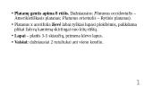 Klevalapis platanas  3 puslapis