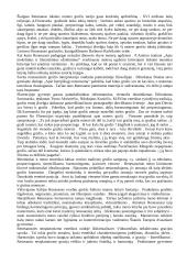 Renesansas ir Renesanso epochos bruožai mene 11 puslapis