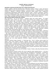 Renesansas ir Renesanso epochos bruožai mene 5 puslapis