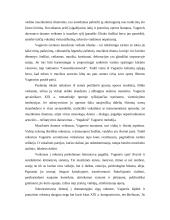 Richardas Vagneris 4 puslapis