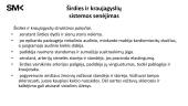 Kraujotakos sistema geriatrijoje