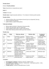 Pasaulio pažinimo pamokos planas.  Tema: Kaip keičiasi oro temperatūra per metus?