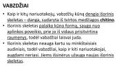 Nariuotakojai. Skaidrės 5 puslapis