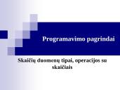 Skaičių duomenų tipai, operacijos su skaičiais