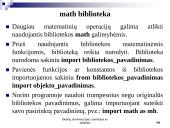 Skaičių duomenų tipai, operacijos su skaičiais 14 puslapis