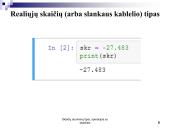 Skaičių duomenų tipai, operacijos su skaičiais 5 puslapis