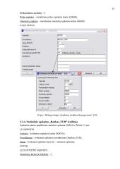Sąskaitų plano papildymas valiutinėmis sąskaitomis (tiekėjo, pirkėjo, banko) 19 puslapis