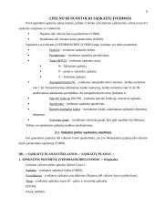 Sąskaitų plano papildymas valiutinėmis sąskaitomis (tiekėjo, pirkėjo, banko) 6 puslapis