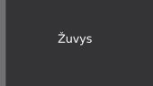 Skaidrės - žuvys 1 puslapis